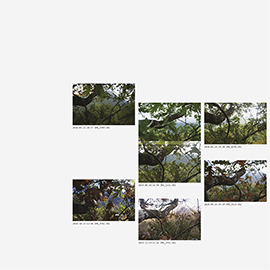 Almanach, Gilles Sage, Pyrénées